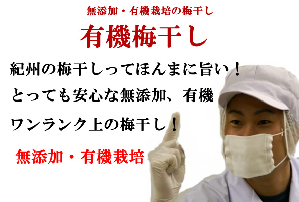 梅干し,梅,青梅,梅肉エキス,紀州南高梅干通販の専門店 無添加、有機梅干し- 深見梅店 -